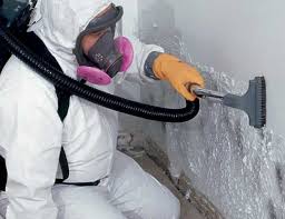 Best Forensic Mold Investigation  in Englewood, FL